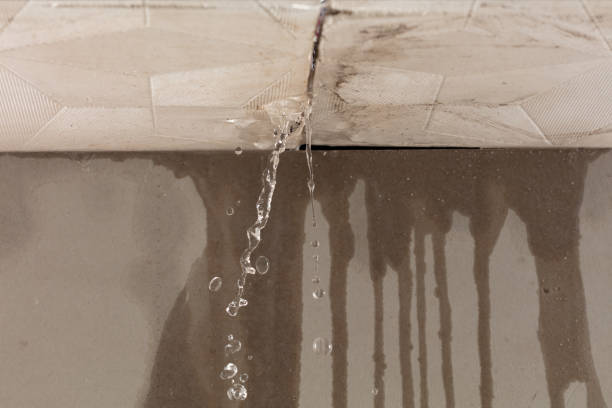 Professional Water Extraction technician working in Wooster, AR